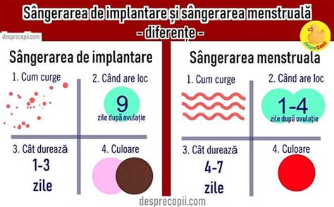 implantarea ovulului|Sangerarea de implantare